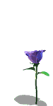 flower (210).g